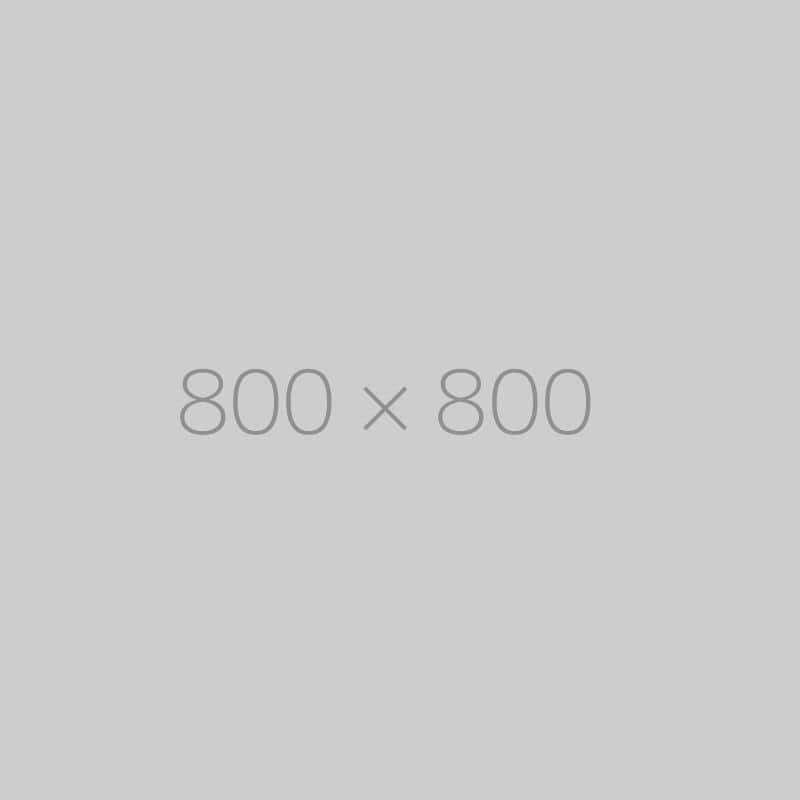 hongo 800×800-ph